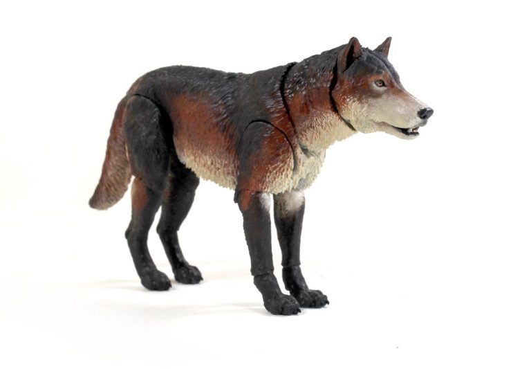 Beasts of the Mesozoic Dire Wolf (Aenocyon dirus) 1/12th scale action figure