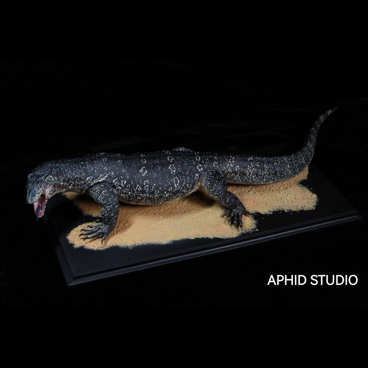 APHID STUDIO Meeresleguan-Modell