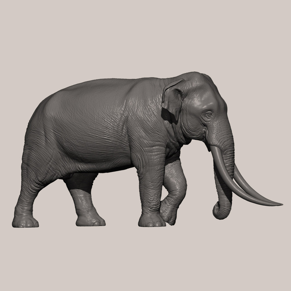 DAFEI Hippopotamus amphibius Modell 