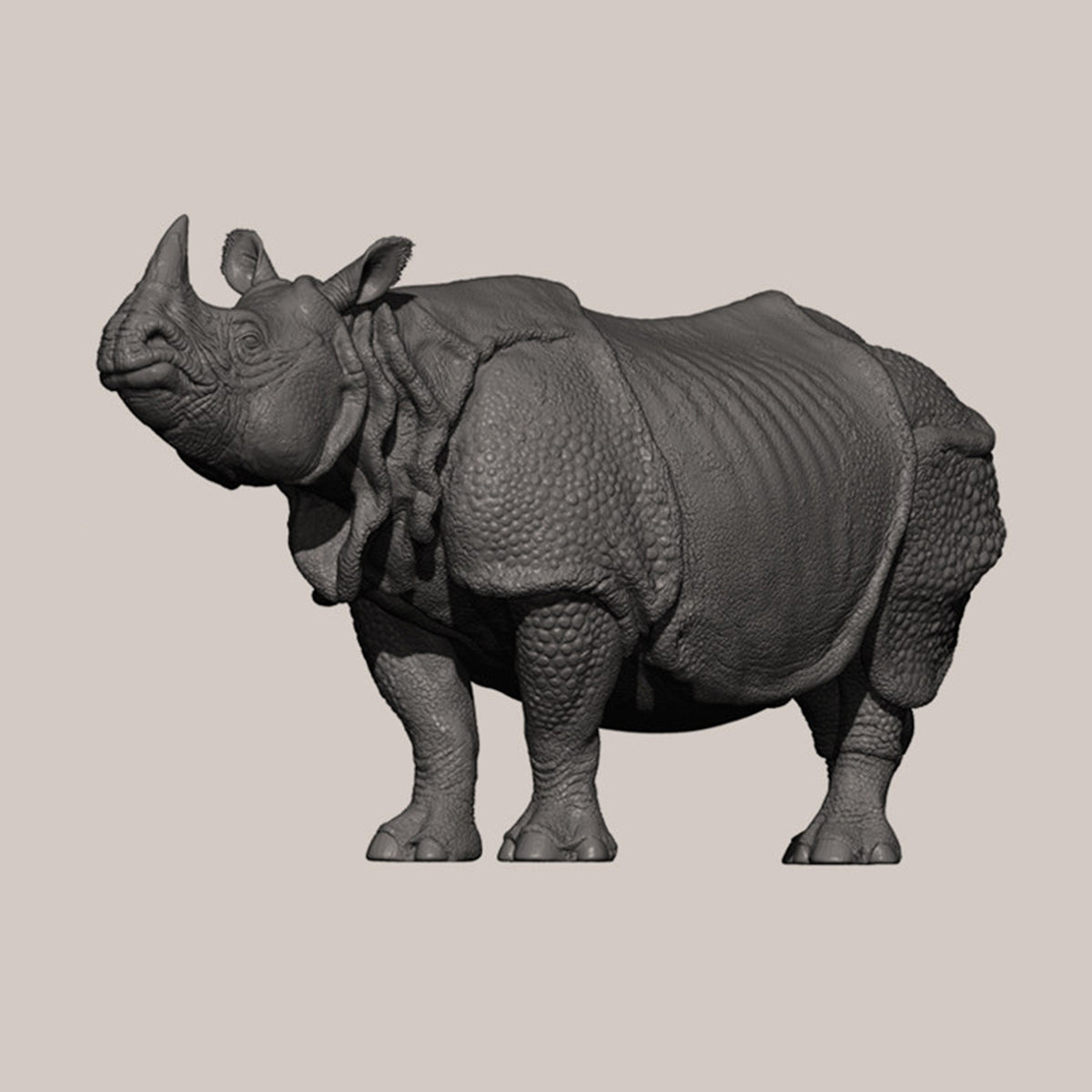 DAFEI Hippopotamus amphibius Modell 