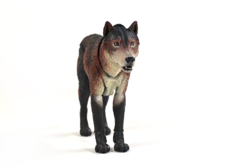 Beasts of the Mesozoic Dire Wolf (Aenocyon dirus) 1/12th scale action figure