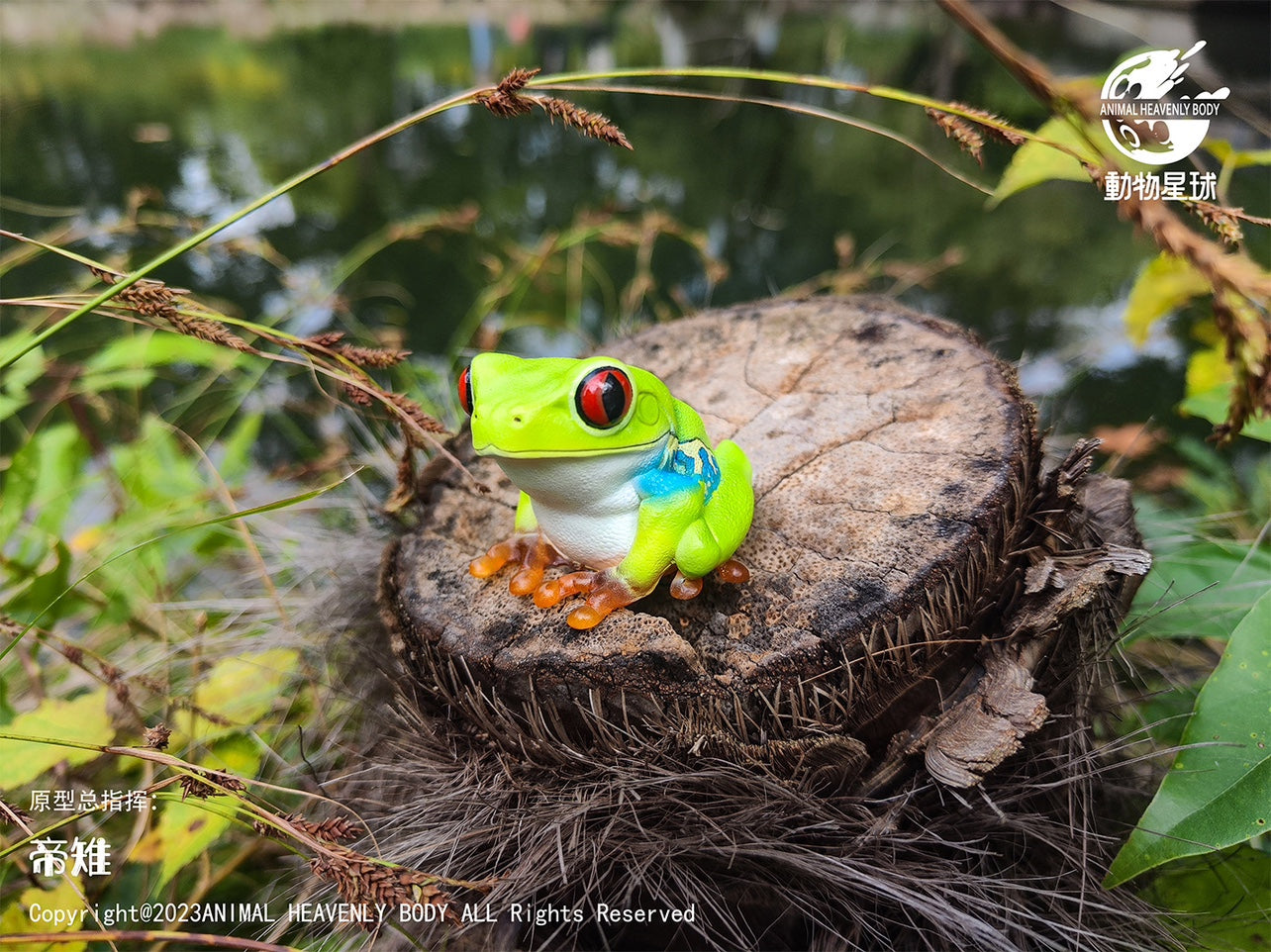 Animal Heavenly Body 20 Frog Blind Box Model
