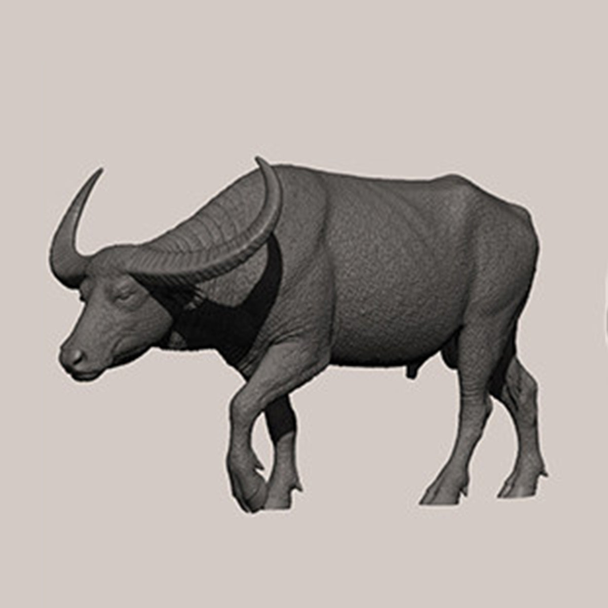 DAFEI Hippopotamus amphibius Modell 
