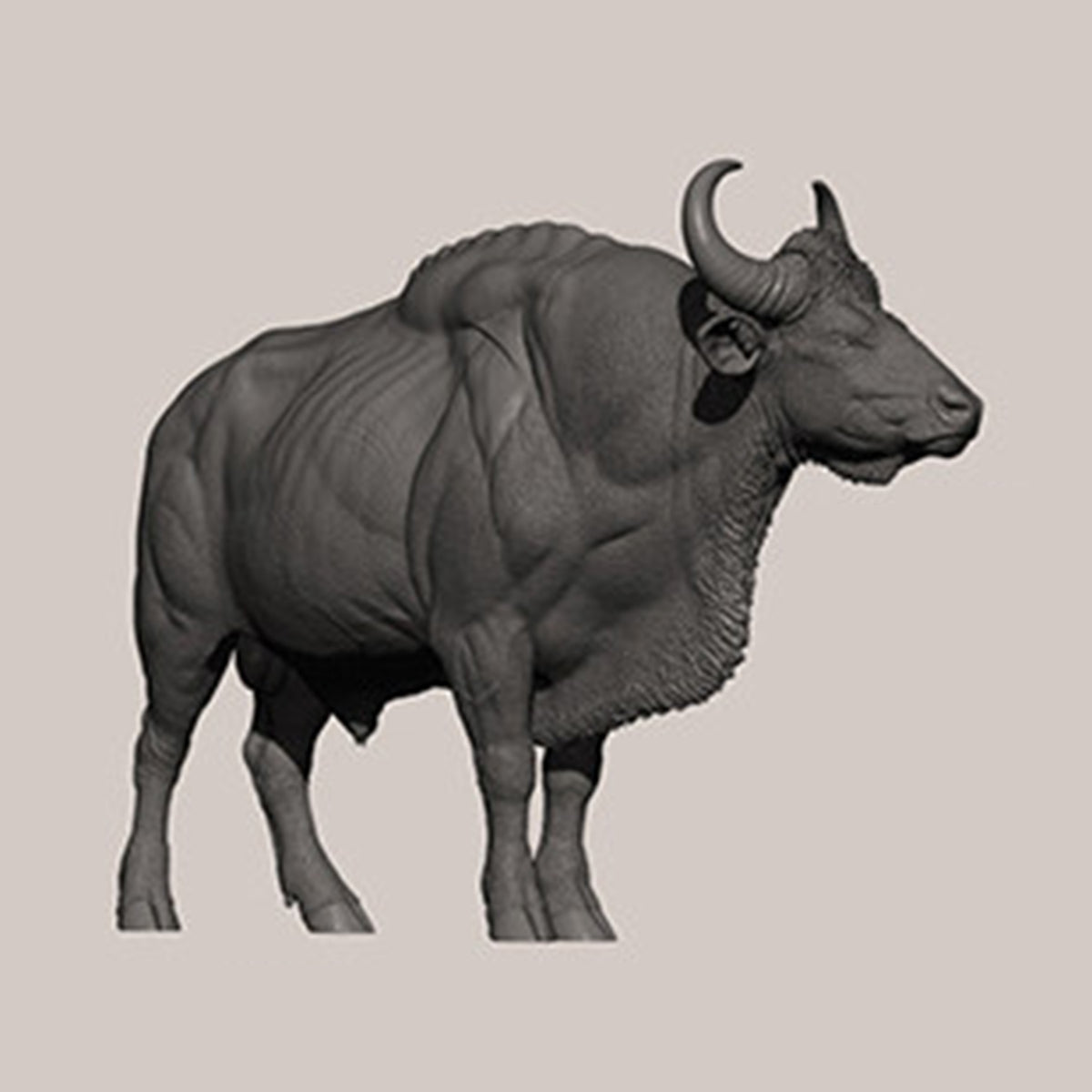 DAFEI Hippopotamus amphibius Modell 