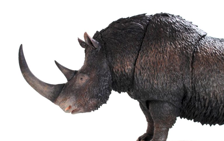 Beasts of the Mesozoic Woolly Rhino 1/18th scale action figure