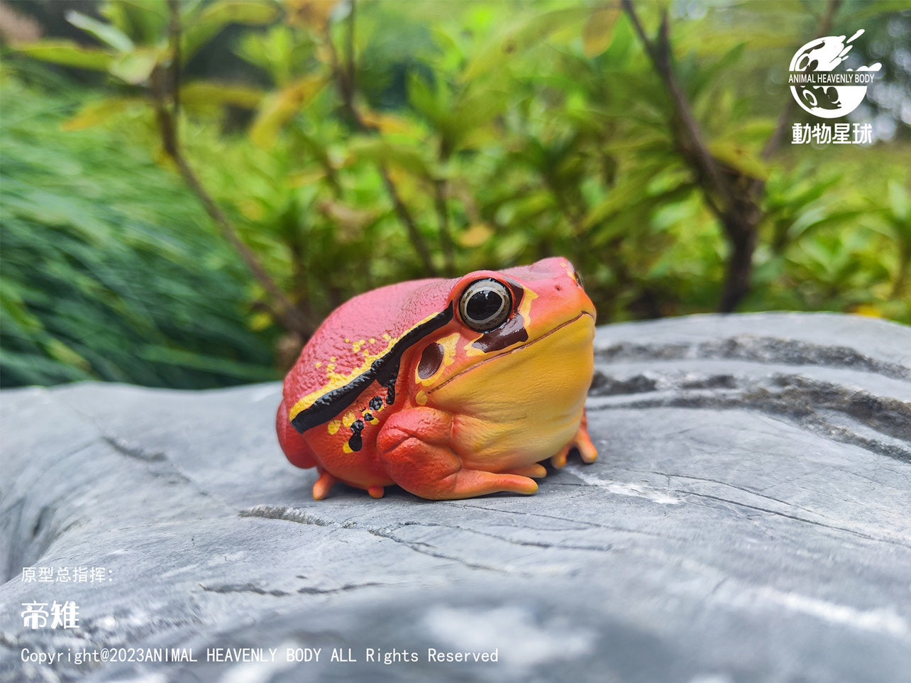 Animal Heavenly Body 20 Frog Blind Box Model