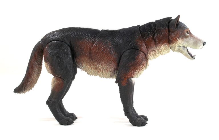 Beasts of the Mesozoic Dire Wolf (Aenocyon dirus) 1/12th scale action figure