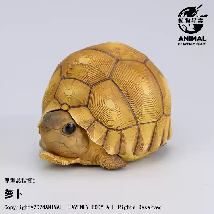 Animal Heavenly Body 22 Turtle Blind Box Model