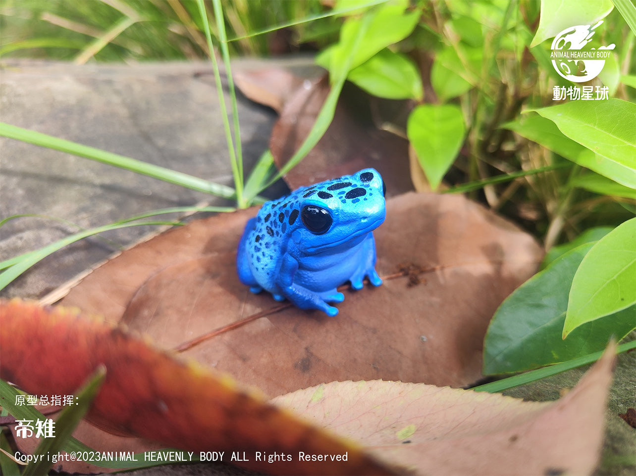 Animal Heavenly Body 20 Frog Blind Box Model