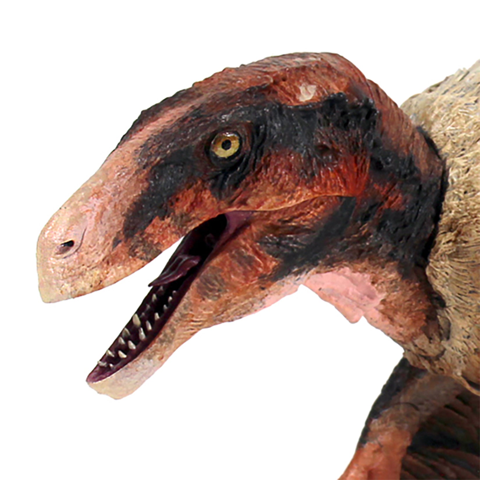 Beasts of the Mesozoic Achillobator giganticus- Cyberzoic- 1/18th scale action figure