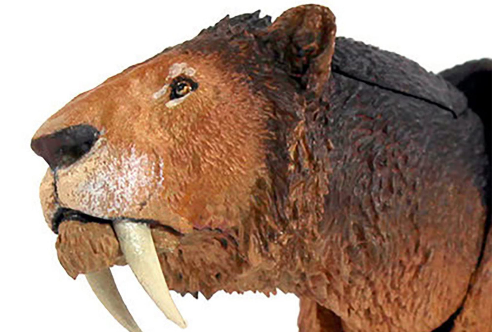 Beasts of the Mesozoic Smilodon populator- 1/18th scale action figure