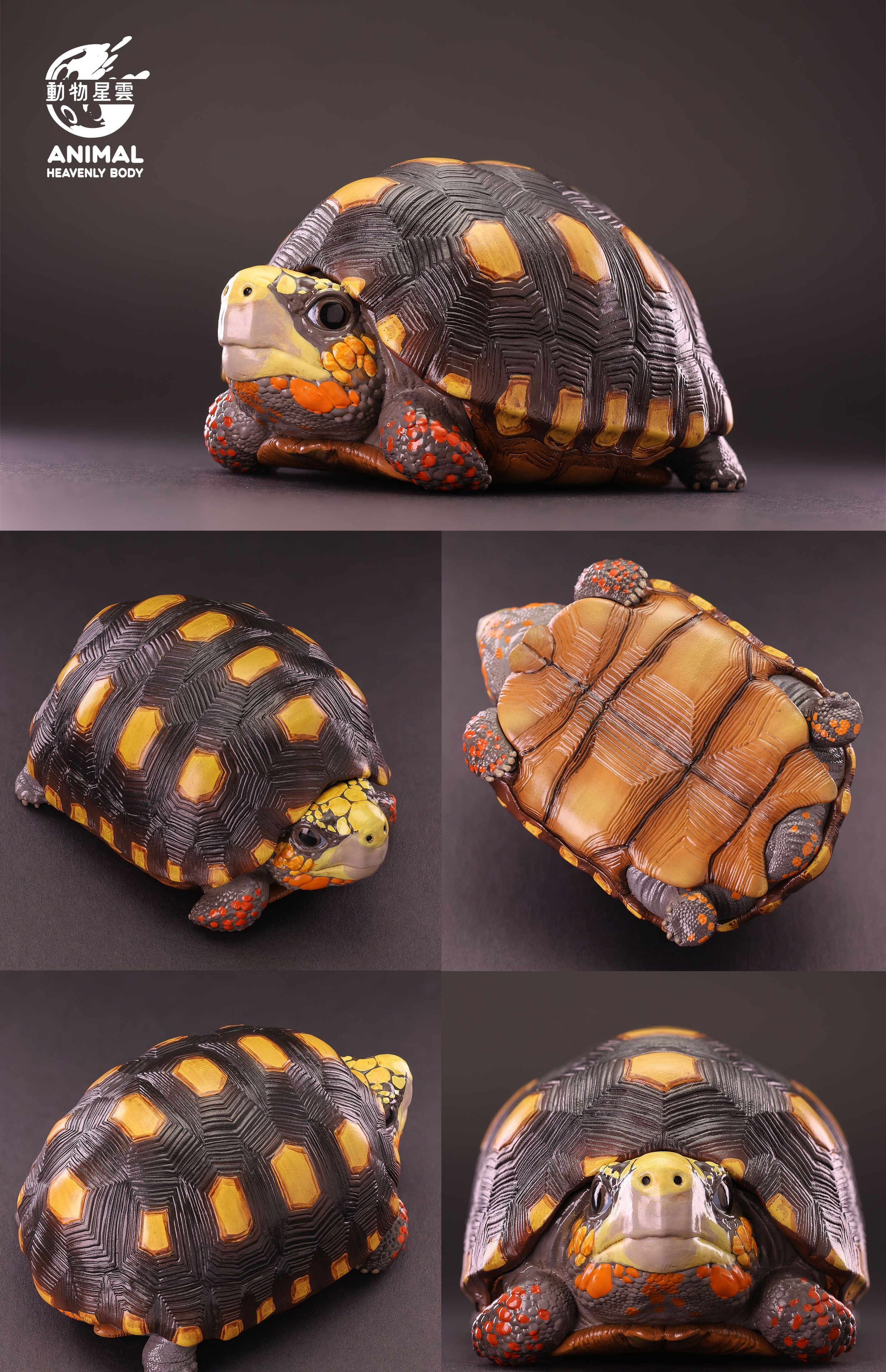 Animal Heavenly Body 22 Turtle Blind Box Model