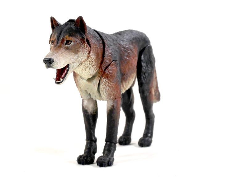 Beasts of the Mesozoic Dire Wolf (Aenocyon dirus) 1/12th scale action figure