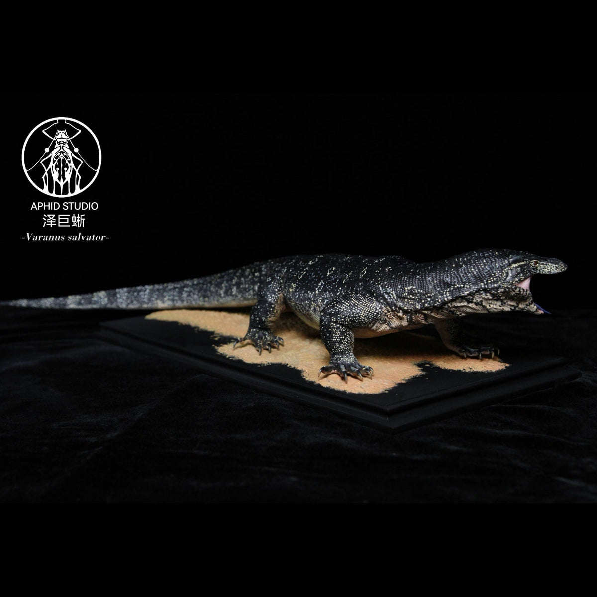 APHID STUDIO Meeresleguan-Modell
