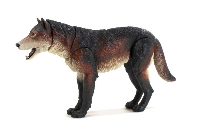 Beasts of the Mesozoic Dire Wolf (Aenocyon dirus) 1/12th scale action figure