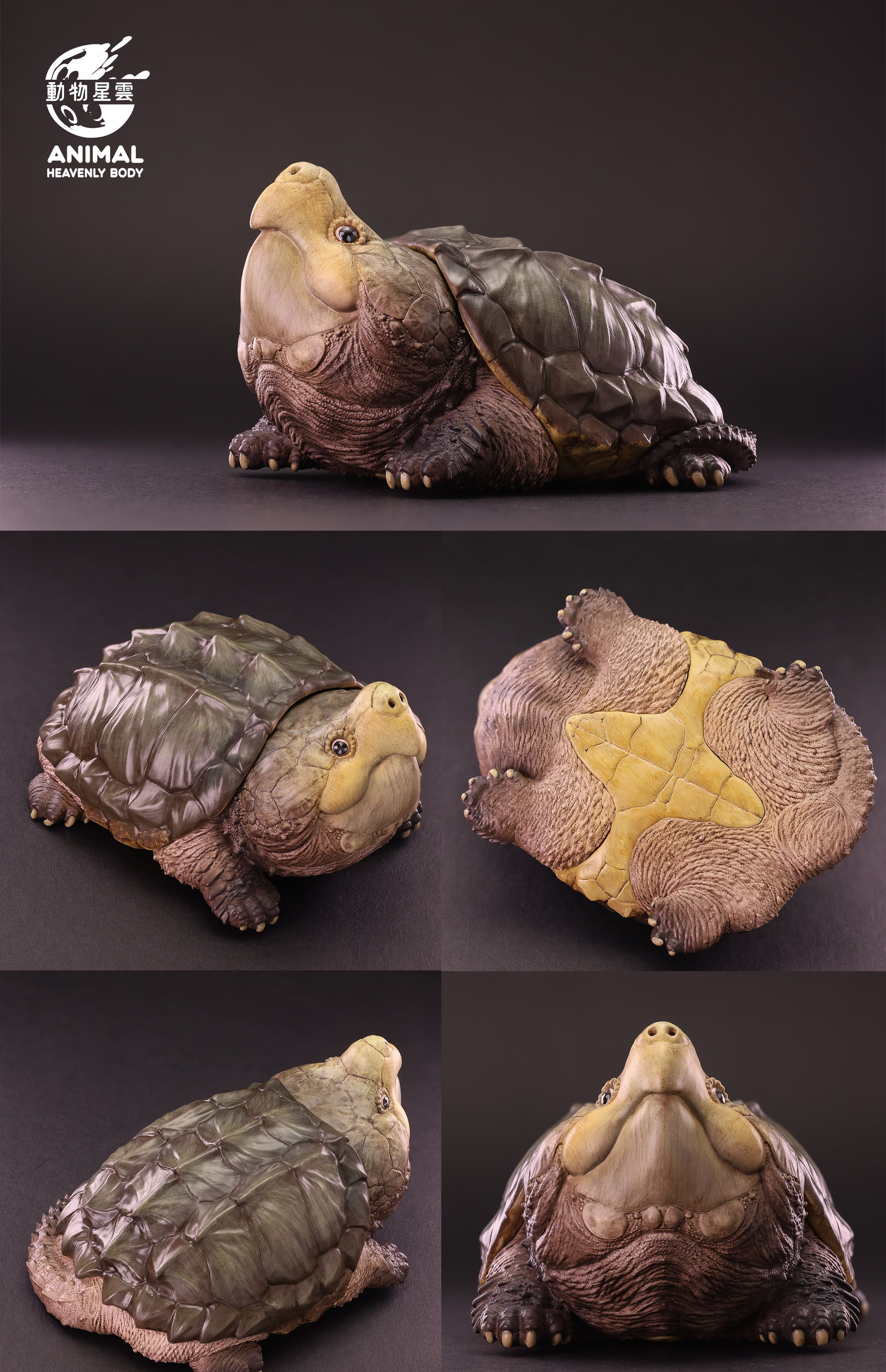 Animal Heavenly Body 22 Turtle Blind Box Model