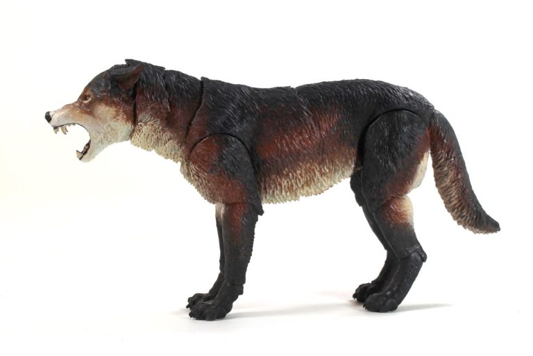 Beasts of the Mesozoic Dire Wolf (Aenocyon dirus) 1/12th scale action figure