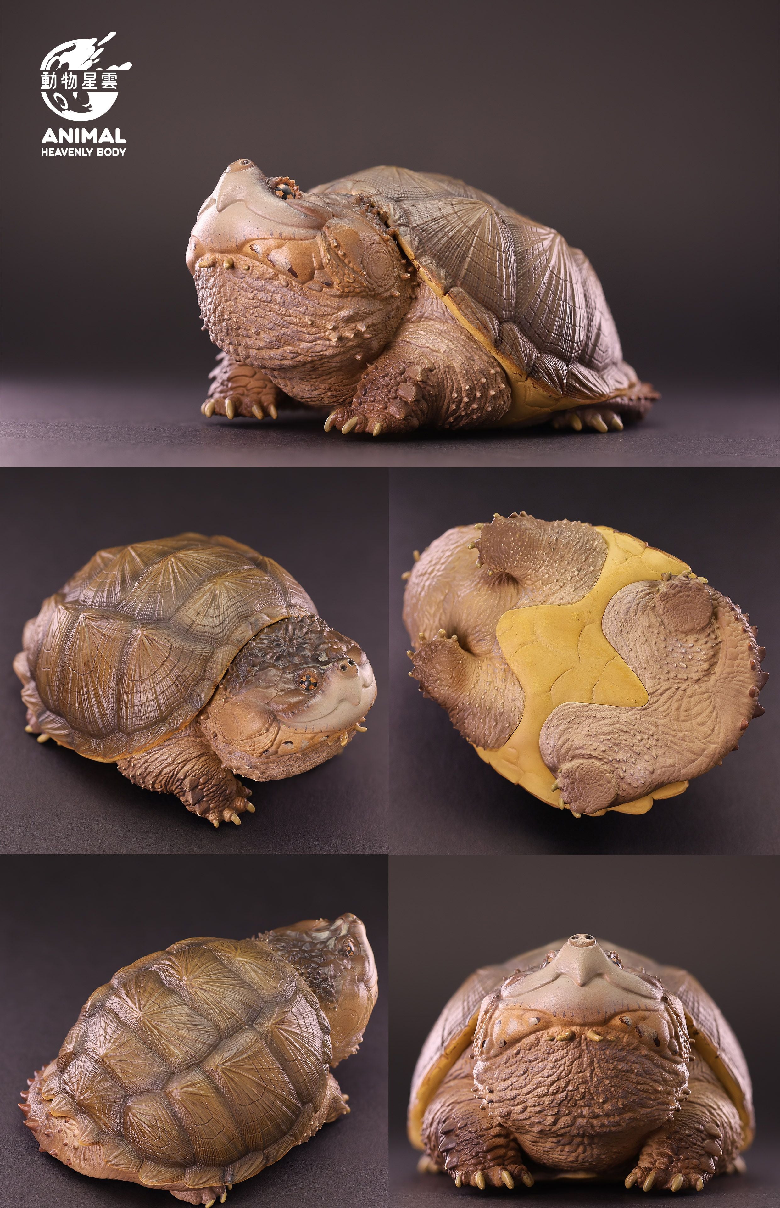 Animal Heavenly Body 22 Turtle Blind Box Model