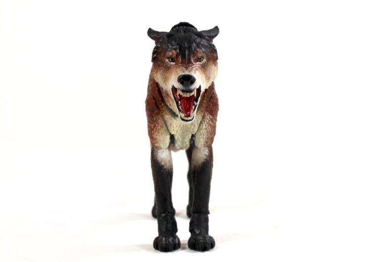 Beasts of the Mesozoic Dire Wolf (Aenocyon dirus) 1/12th scale action figure