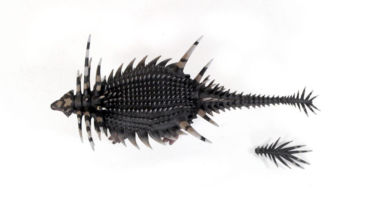 Beasts of the Mesozoic Spicomellus afer 1/18th scale action figure