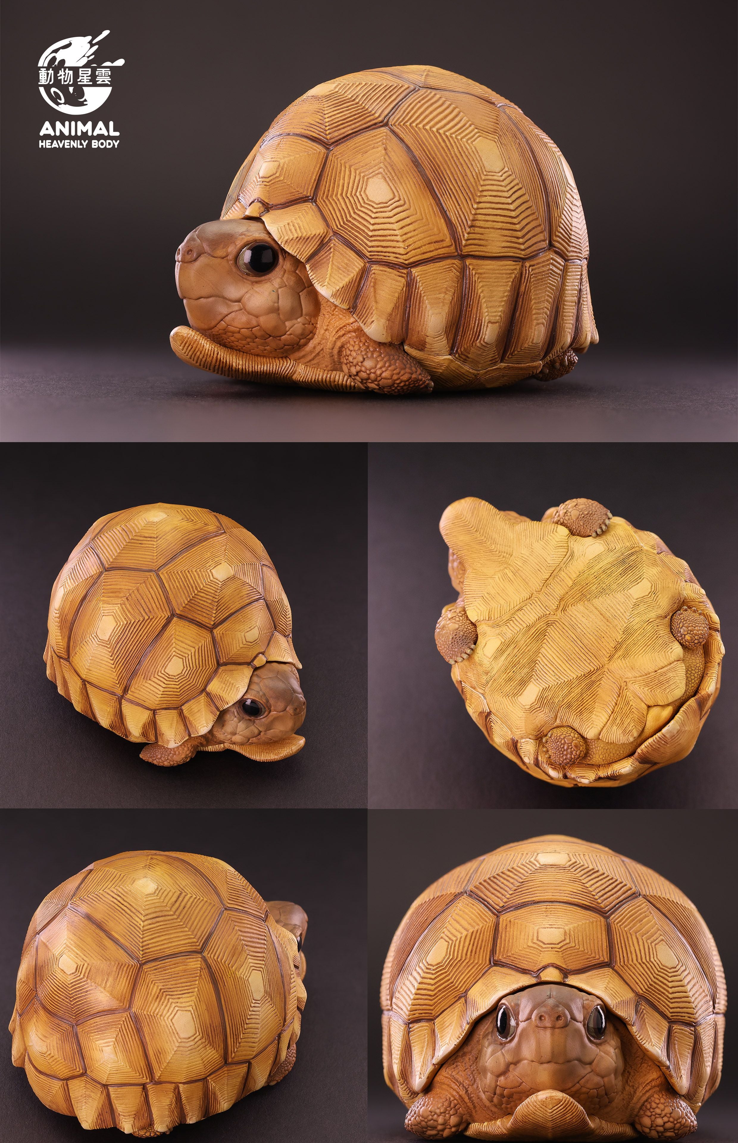 Animal Heavenly Body 22 Turtle Blind Box Model