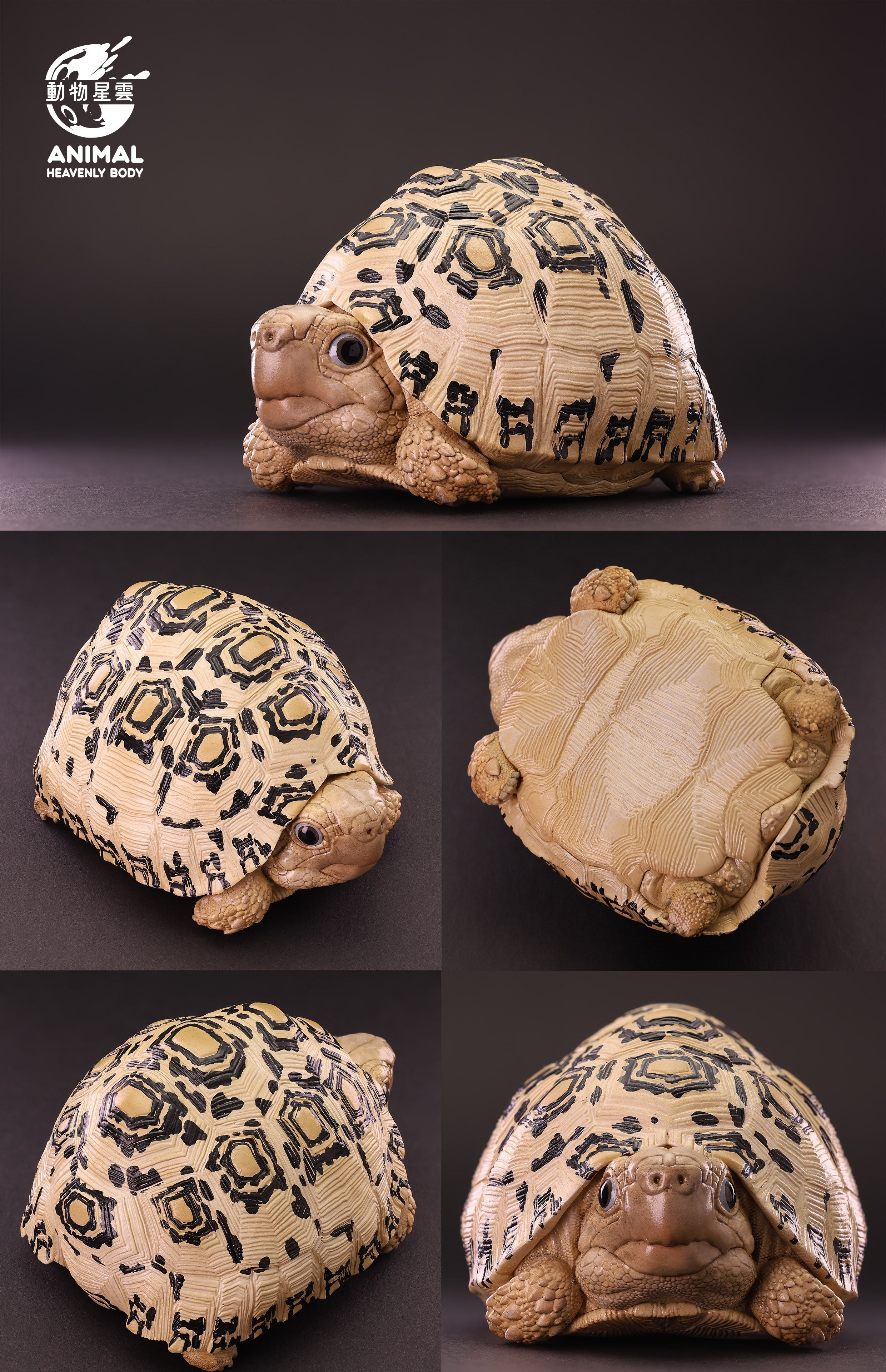 Animal Heavenly Body 22 Turtle Blind Box Model
