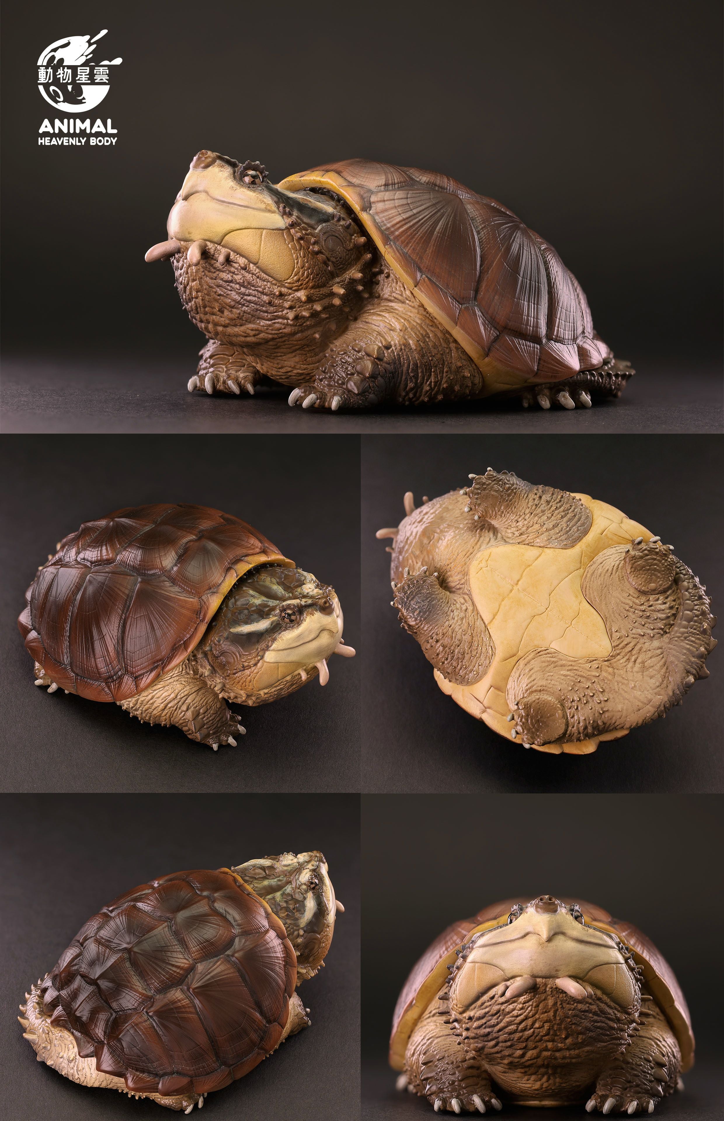 Animal Heavenly Body 22 Turtle Blind Box Model