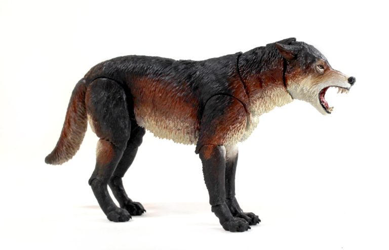 Beasts of the Mesozoic Dire Wolf (Aenocyon dirus) 1/12th scale action figure