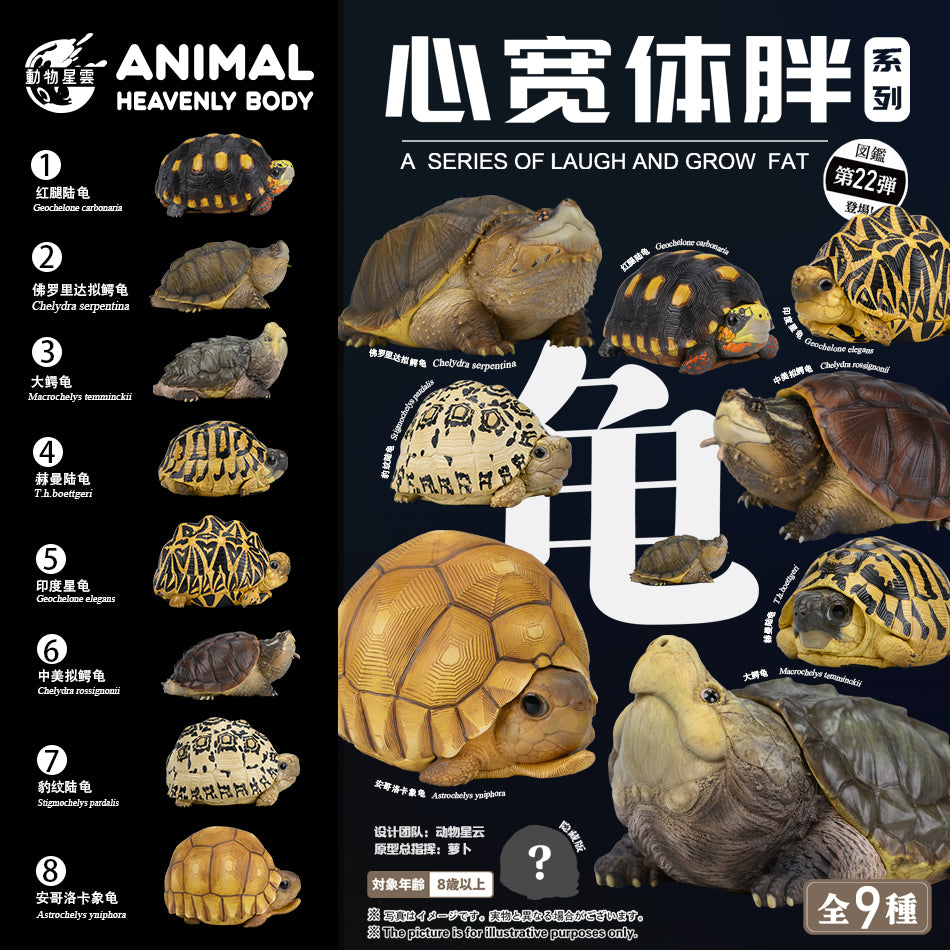 Animal Heavenly Body 22 Turtle Blind Box Model
