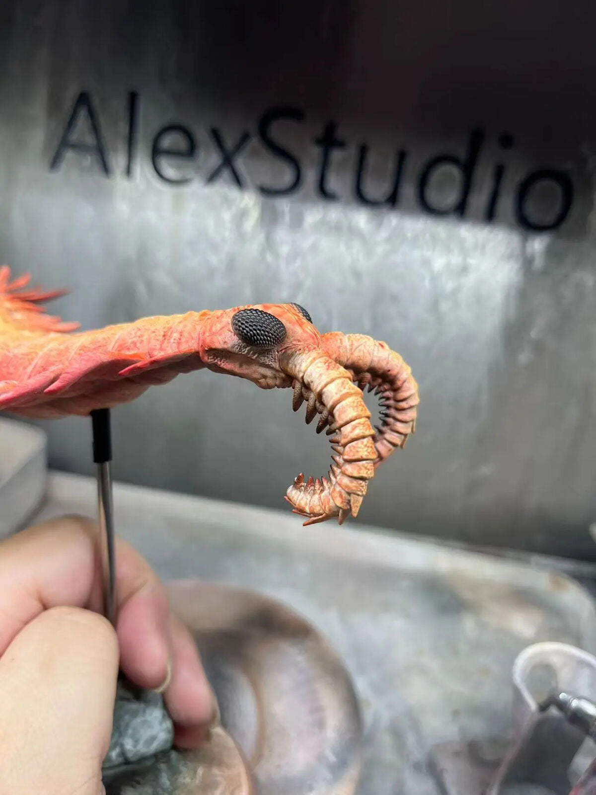 Alex Studio Anomalocaris Canadensis Model