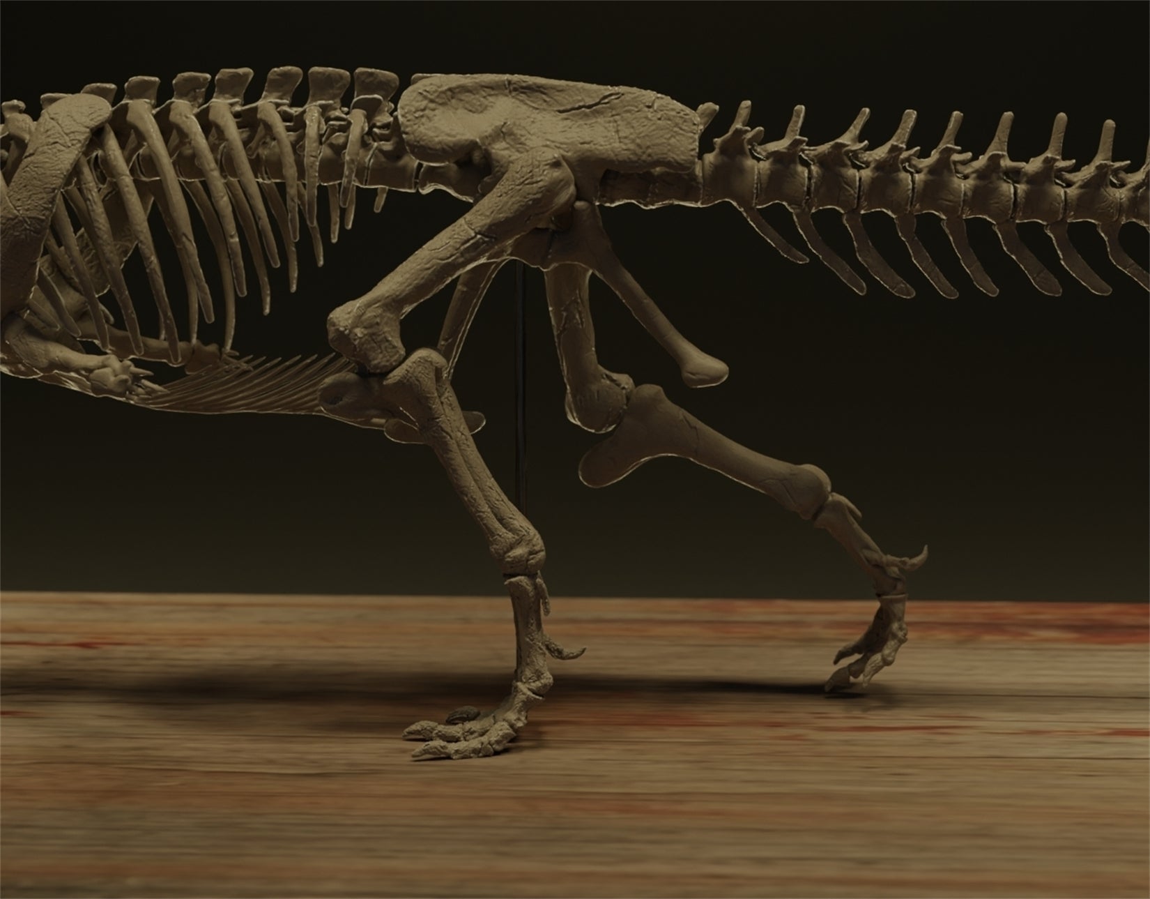 Nova Studio 1/6 Scale Majungasaurus crenatissimus keleton Model