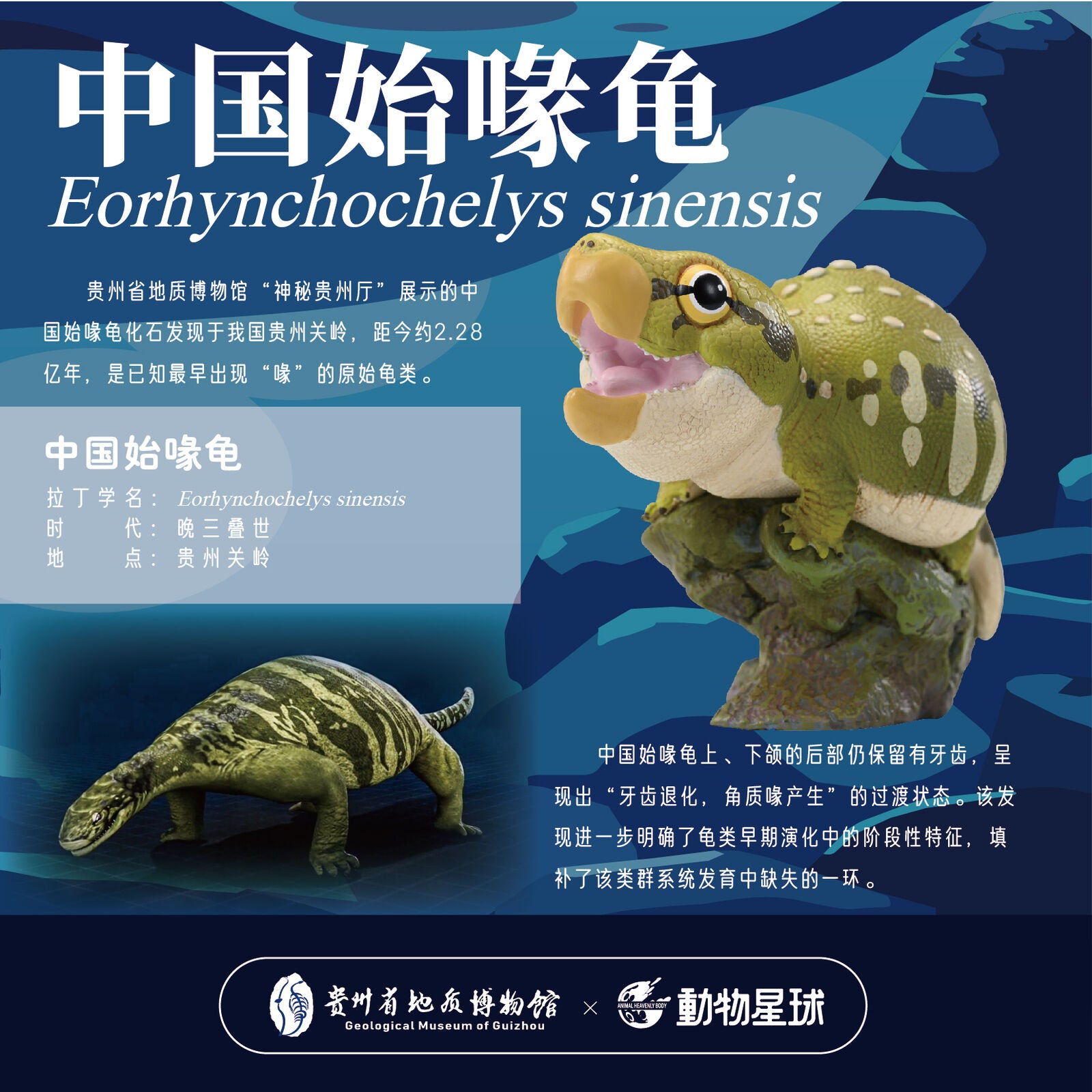 ANIMAL HEAVENLY BODY Yangchuanosaurus Model