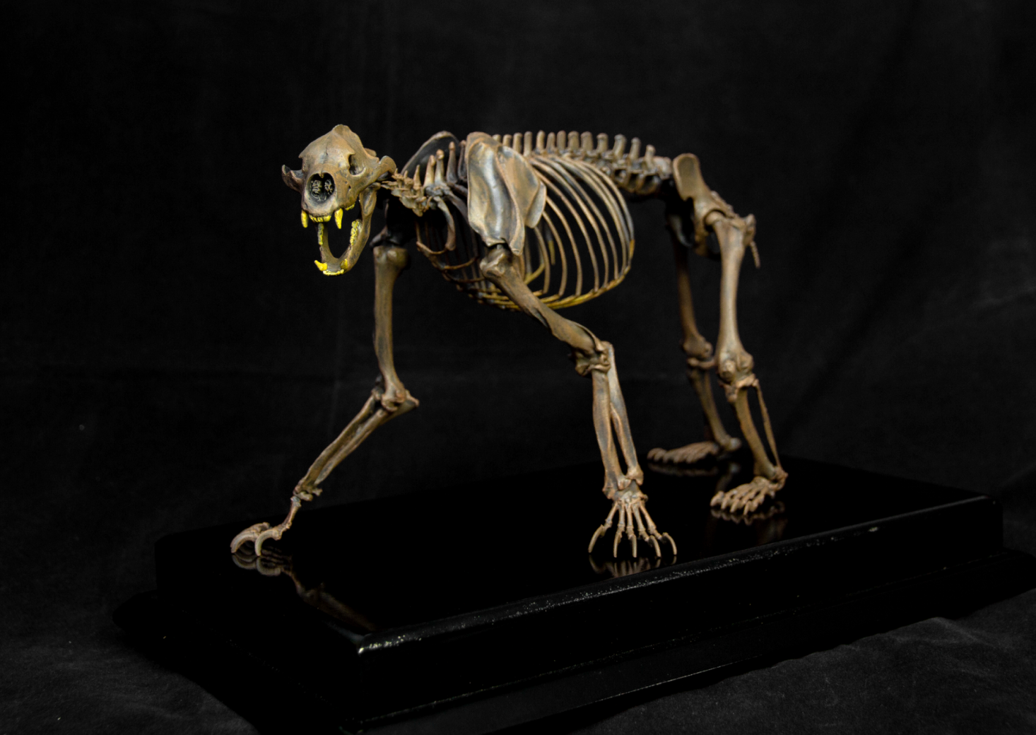 VWUVWU 1/10 Arctodus simus Skeleton Model