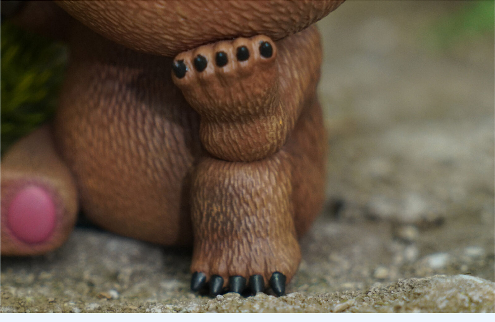 Animal Protection Act Studio Baby Bear Model