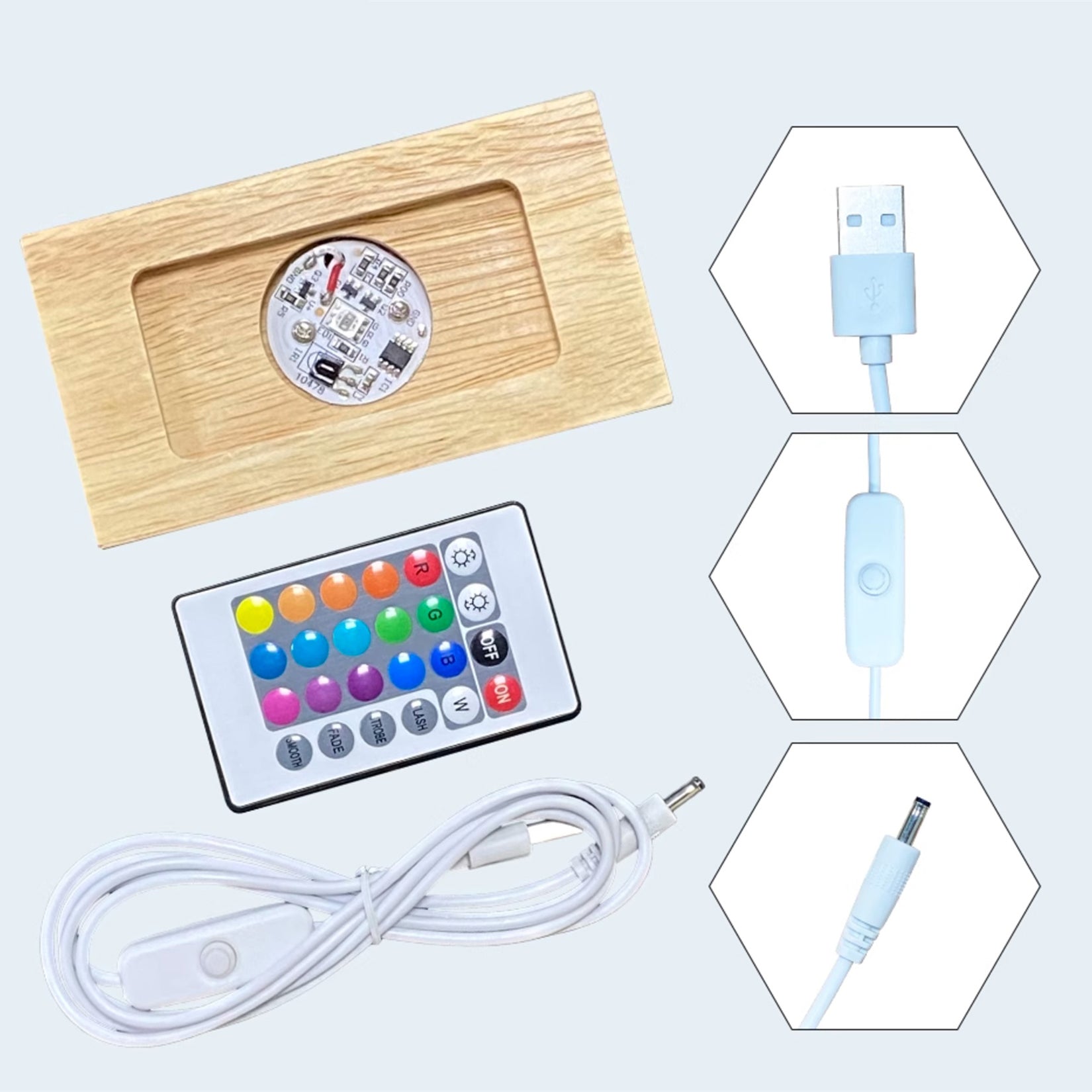 The Shark & Divers Ocean Model