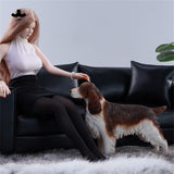 JXK 1/6 Cocker Spaniel Figure