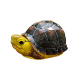 Animal Heavenly Body 19 Turtle Blind Box Model