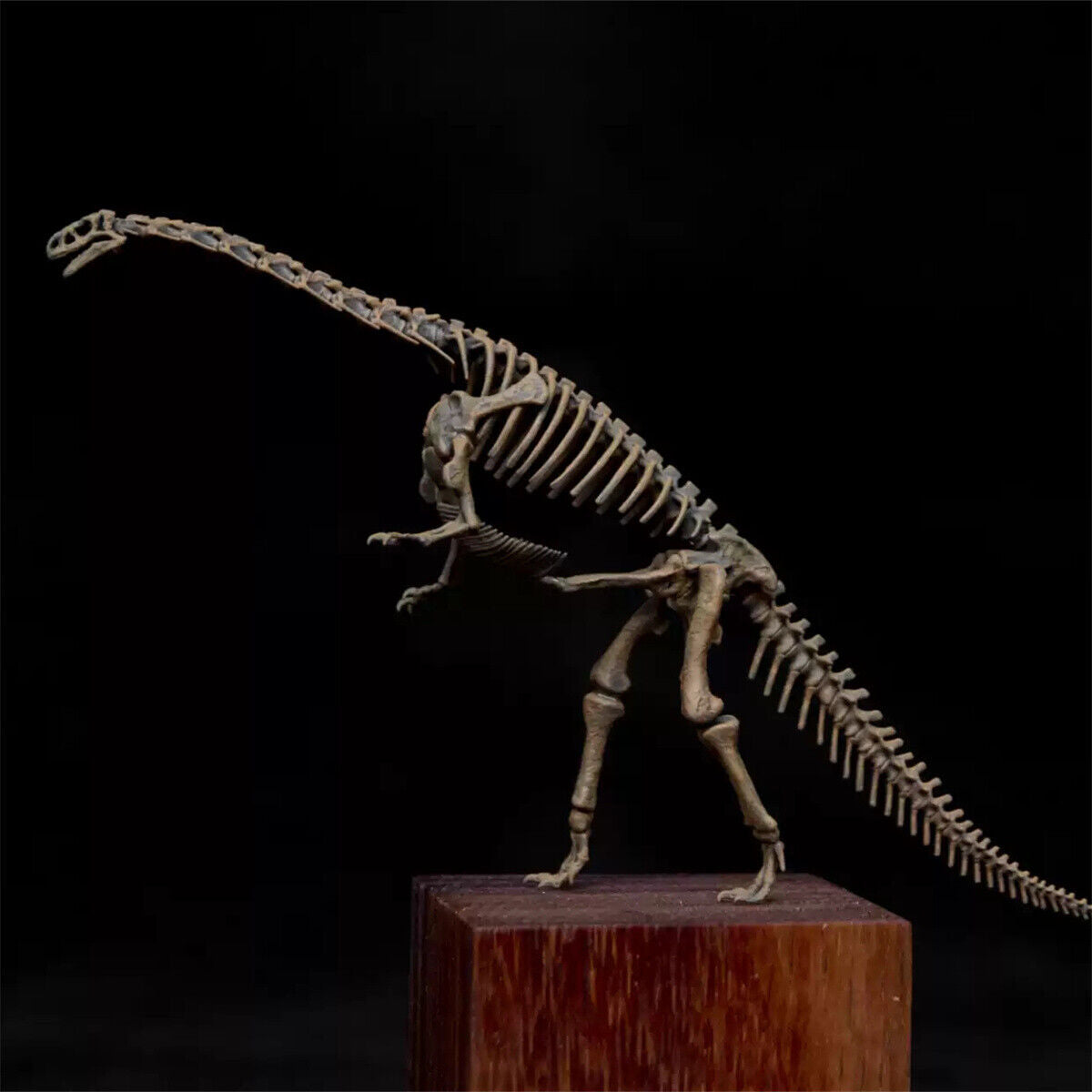 1/35 Lufengosaurus Skeleton Model