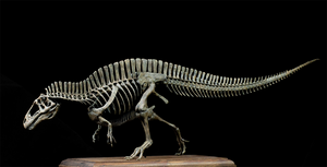 VWUVWU 1/20 Acrocanthosaurus Skeleton Model