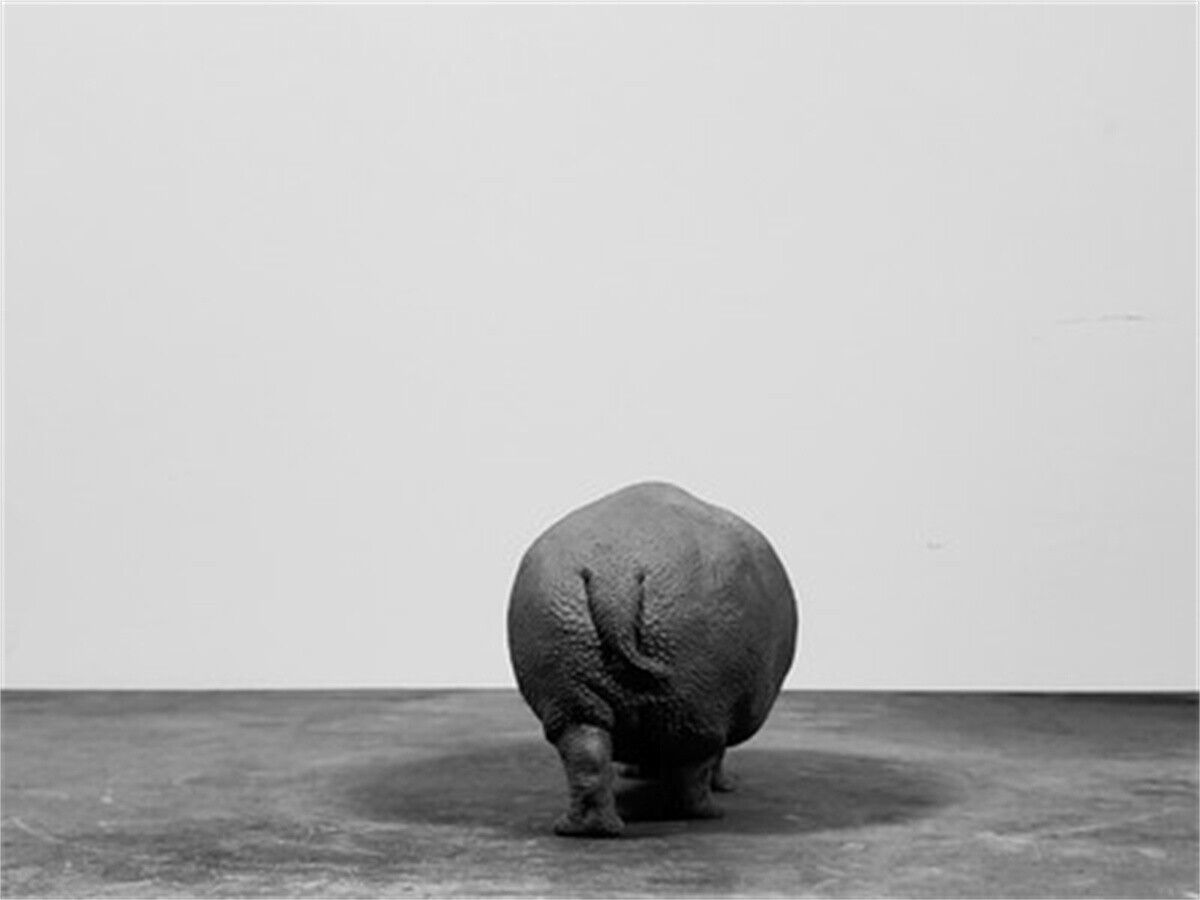 TUNAN 1/18 Hippopotamus Model