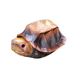 Animal Heavenly Body 19 Turtle Blind Box Model