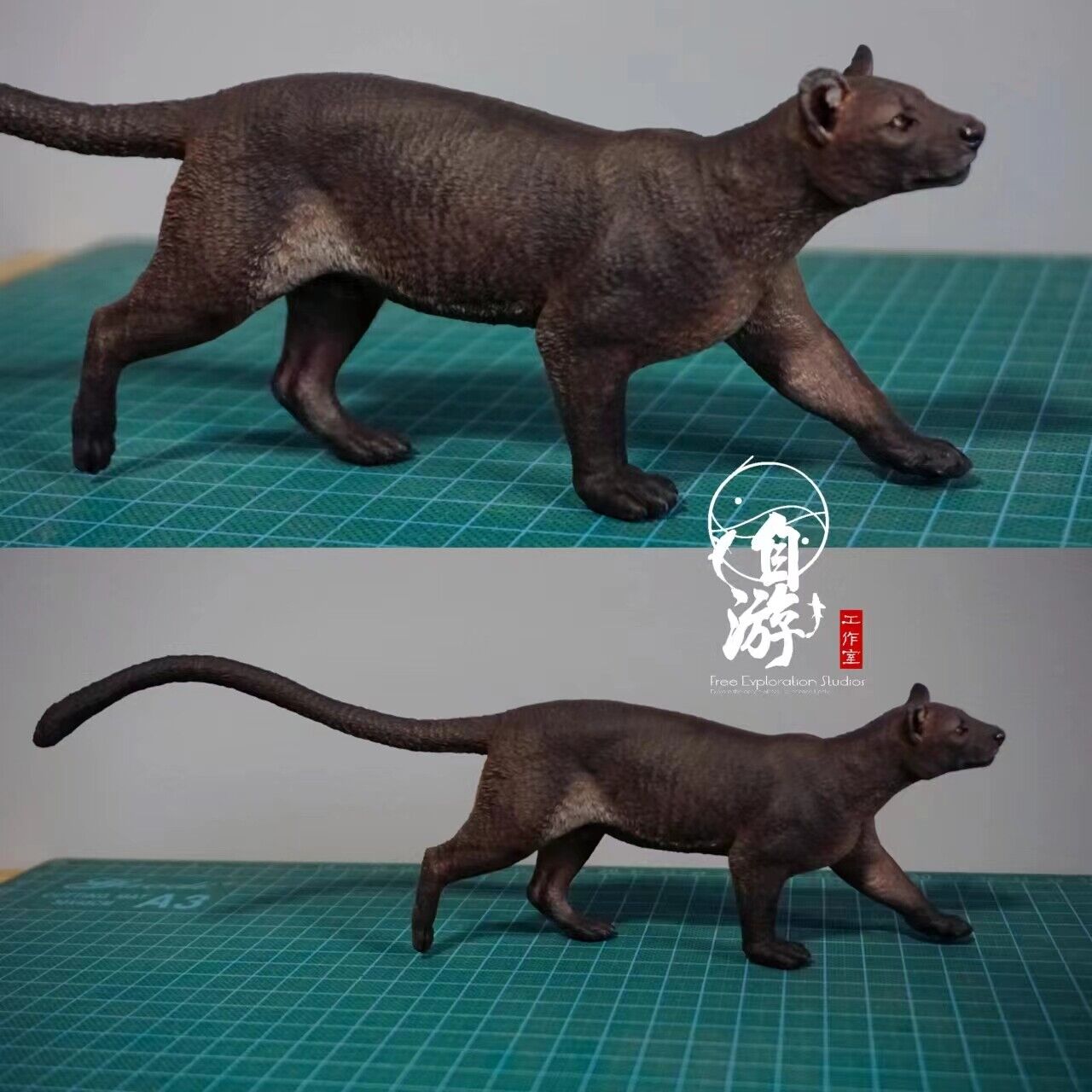 Free Exploration Fossa Model