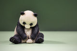 Mr.z 1/6 Baby Panda Model
