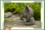 Animal Protection Act Studio Baby Elephant Model