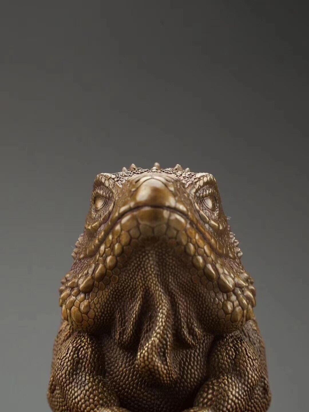 Lizard Kingdom Limited Brass Model