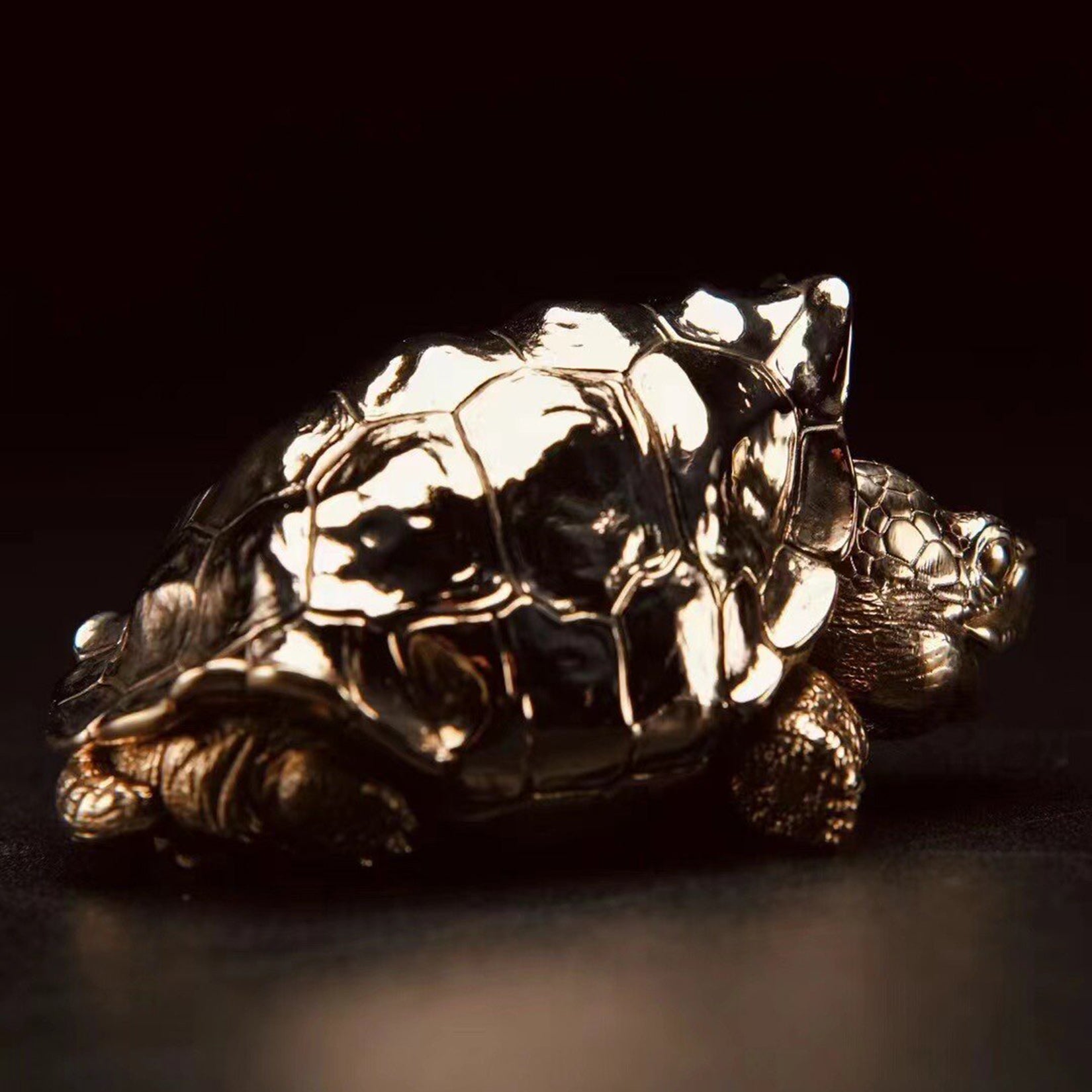 BOWUZHI Studio Galapagos Elephant Turtle Model