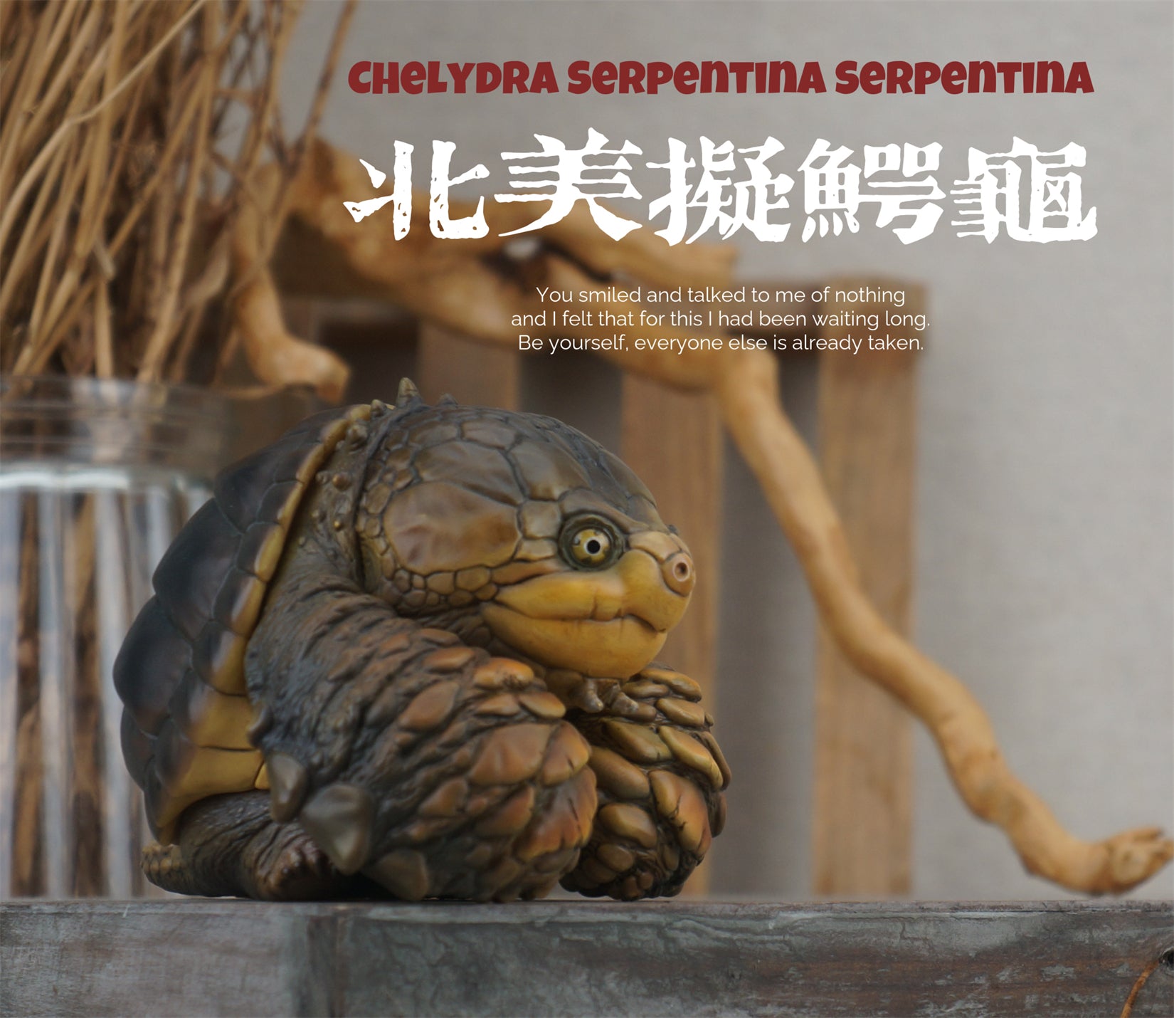 Common Snapping Turtle‌ & Ploughshare Tortoise‌ Figure