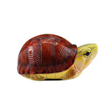 Animal Heavenly Body 19 Turtle Blind Box Model