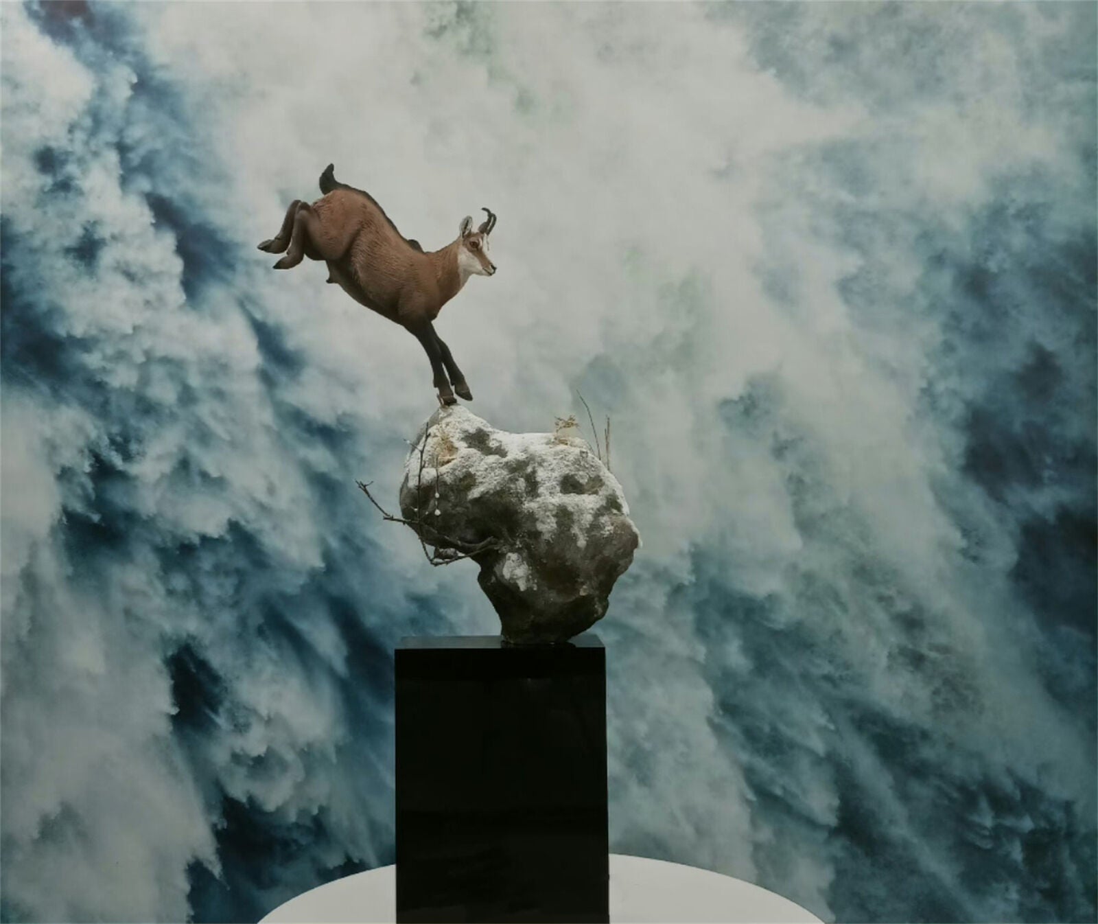 1/10 Golden Eagle VS Chamois Scene Model