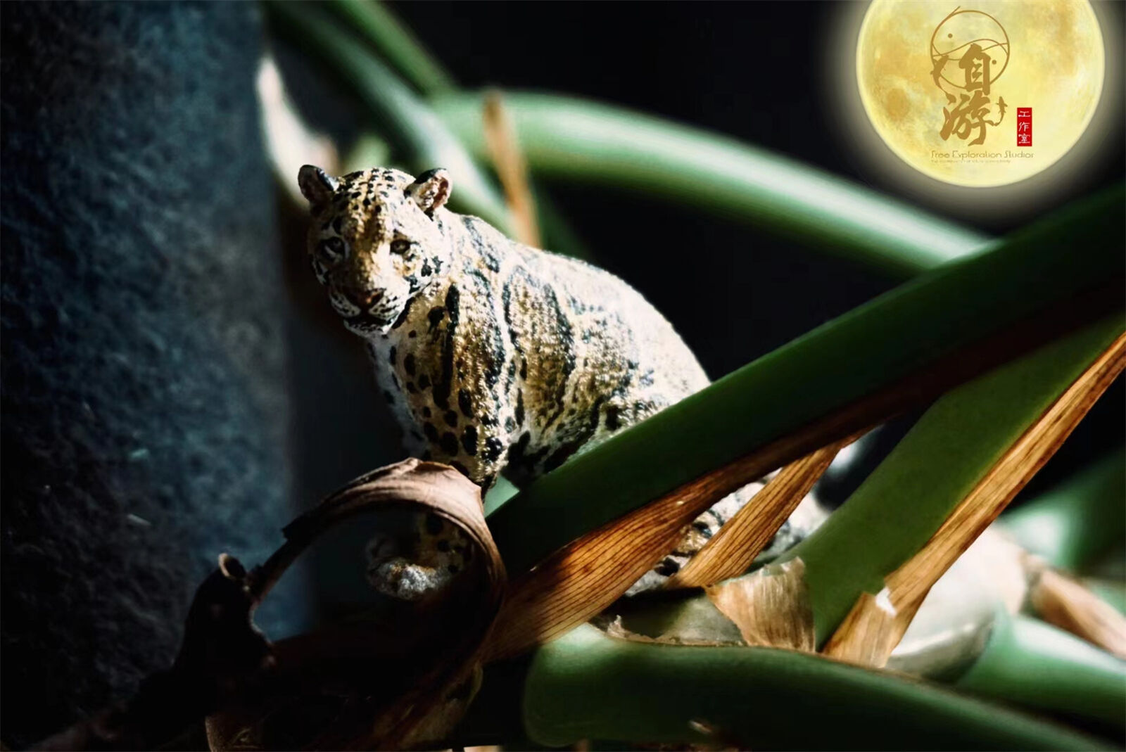 Free Exploration Clouded Leopard Model